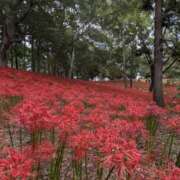 ヒメ日記 2025/09/28 13:53 投稿 ゆづき 風鈴（ふうりん）