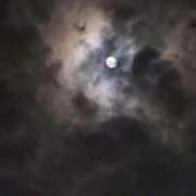 ヒメ日記 2025/10/10 08:48 投稿 ゆづき 風鈴（ふうりん）