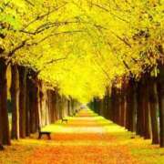 ヒメ日記 2025/11/22 08:41 投稿 ゆづき 風鈴（ふうりん）