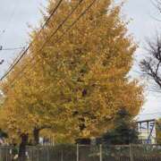 ヒメ日記 2025/12/03 07:47 投稿 ゆづき 風鈴（ふうりん）