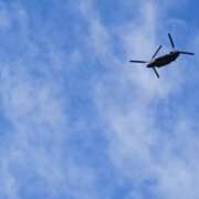 ヒメ日記 2025/12/16 10:41 投稿 ゆづき 風鈴(ふうりん)