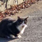 ヒメ日記 2026/01/13 09:48 投稿 ゆづき 風鈴（ふうりん）