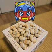 ヒメ日記 2026/02/03 07:09 投稿 ゆづき 風鈴（ふうりん）