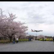 ヒメ日記 2026/03/26 09:28 投稿 ゆづき 風鈴（ふうりん）