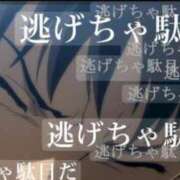 ヒメ日記 2026/03/27 07:49 投稿 ゆづき 風鈴（ふうりん）