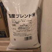 ヒメ日記 2026/03/28 08:35 投稿 ゆづき 風鈴（ふうりん）