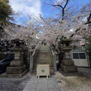 ヒメ日記 2026/03/29 08:20 投稿 ゆづき 風鈴（ふうりん）