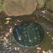 ヒメ日記 2026/05/17 07:20 投稿 ゆづき 風鈴（ふうりん）