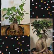 ヒメ日記 2026/07/20 08:38 投稿 ゆづき 風鈴（ふうりん）