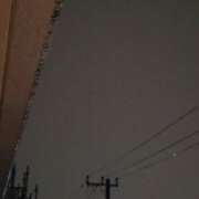 ヒメ日記 2026/08/14 07:35 投稿 ゆづき 風鈴（ふうりん）
