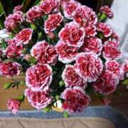 のりか フラワー🥀パワー 風鈴（ふうりん）