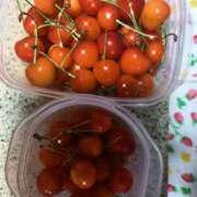 ヒメ日記 2025/07/09 12:17 投稿 のりか 風鈴（ふうりん）