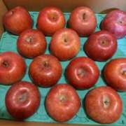 ヒメ日記 2025/12/17 12:13 投稿 のりか 風鈴（ふうりん）