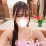 ヒメ日記 2025/08/13 14:07 投稿 らすく 今こそ!にゃんにゃん学園