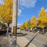 ヒメ日記 2025/11/23 22:46 投稿 松尾 熟女の部屋