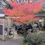 ヒメ日記 2025/11/25 22:19 投稿 松尾 熟女の部屋