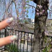 ヒメ日記 2025/04/17 08:59 投稿 立石 熟女の部屋