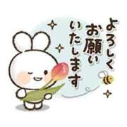 ヒメ日記 2025/06/19 10:24 投稿 立石 熟女の部屋