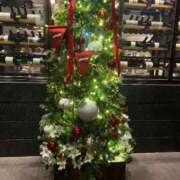 ヒメ日記 2025/12/13 08:34 投稿 立石 熟女の部屋