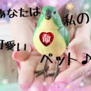 ヒメ日記 2025/01/03 18:31 投稿 飯田 熟女の部屋