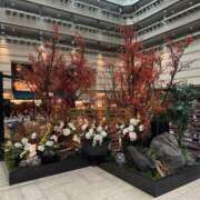 ヒメ日記 2026/03/05 11:08 投稿 熊谷 熟女の部屋