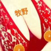 ヒメ日記 2024/12/15 22:31 投稿 牧野 熟女の部屋