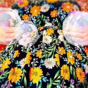 ヒメ日記 2025/07/25 00:30 投稿 牧野 熟女の部屋