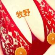 ヒメ日記 2025/11/17 09:15 投稿 牧野 熟女の部屋