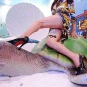 ヒメ日記 2025/12/08 06:00 投稿 安藤 熟女の部屋