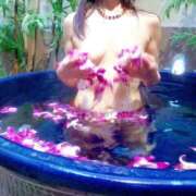 ヒメ日記 2026/03/01 10:03 投稿 安藤 熟女の部屋