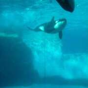 三浦 こんばんは 熟女の部屋