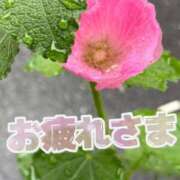 吉田 暑い・・・ 熟女の部屋