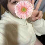 ヒメ日記 2025/03/20 18:08 投稿 ゆき ホテピン