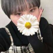 ヒメ日記 2025/04/03 11:28 投稿 ゆき ホテピン