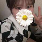 ヒメ日記 2025/04/19 10:28 投稿 ゆき ホテピン