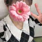 ヒメ日記 2025/09/29 14:48 投稿 ゆき ホテピン