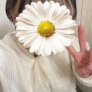 ゆき 本日います🩷 ホテピン