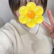 ゆき 本日います🌼 ホテピン