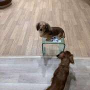 ヒメ日記 2025/03/05 12:08 投稿 エレン マリン千姫