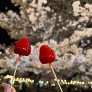 ヒメ日記 2025/04/18 18:13 投稿 エレン マリン千姫