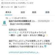 ヒメ日記 2025/05/30 15:17 投稿 エレン マリン千姫