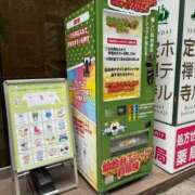 ヒメ日記 2025/06/09 13:26 投稿 エレン マリン千姫