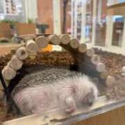 ヒメ日記 2025/10/28 12:52 投稿 エレン マリン千姫