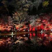 ヒメ日記 2025/11/25 12:22 投稿 エレン マリン千姫