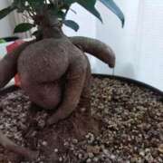 ヒメ日記 2025/03/04 21:54 投稿 かぐや 熟女の風俗最終章 仙台店