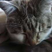 ヒメ日記 2025/03/20 15:24 投稿 かぐや 熟女の風俗最終章 仙台店