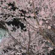 ヒメ日記 2026/04/02 00:24 投稿 かぐや 熟女の風俗最終章 仙台店