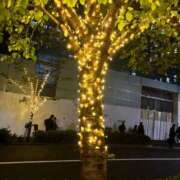 ヒメ日記 2024/12/10 17:21 投稿 あきな タレントCLUB