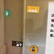 ヒメ日記 2025/10/08 17:45 投稿 あきな タレントCLUB