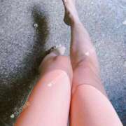 ヒメ日記 2025/02/01 15:55 投稿 すみれ Number Five 品川（シンデレラグループ）